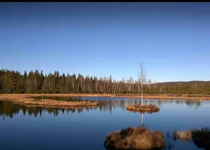 Srni- Cerveny Byt/ Dvojdomek U Hotelu Vydra
